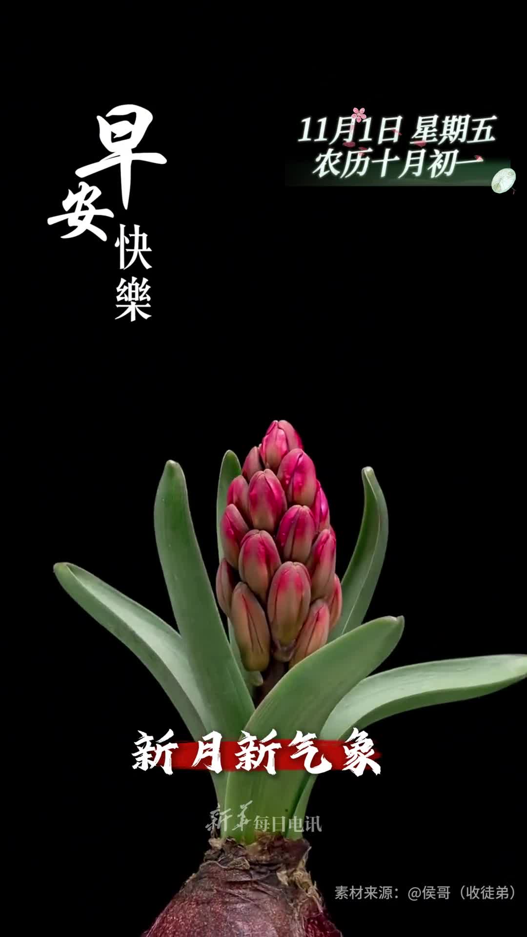 新月新气象福瑞满堂来今天是十一月的第一天愿您和家人平安顺遂好运连连早安