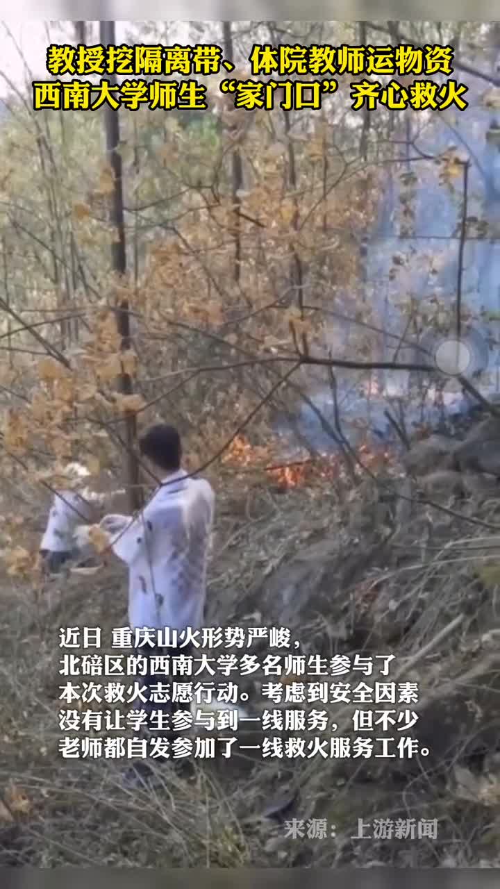 教授挖隔离带体院教师运物资西南大学师生家门口齐心救火