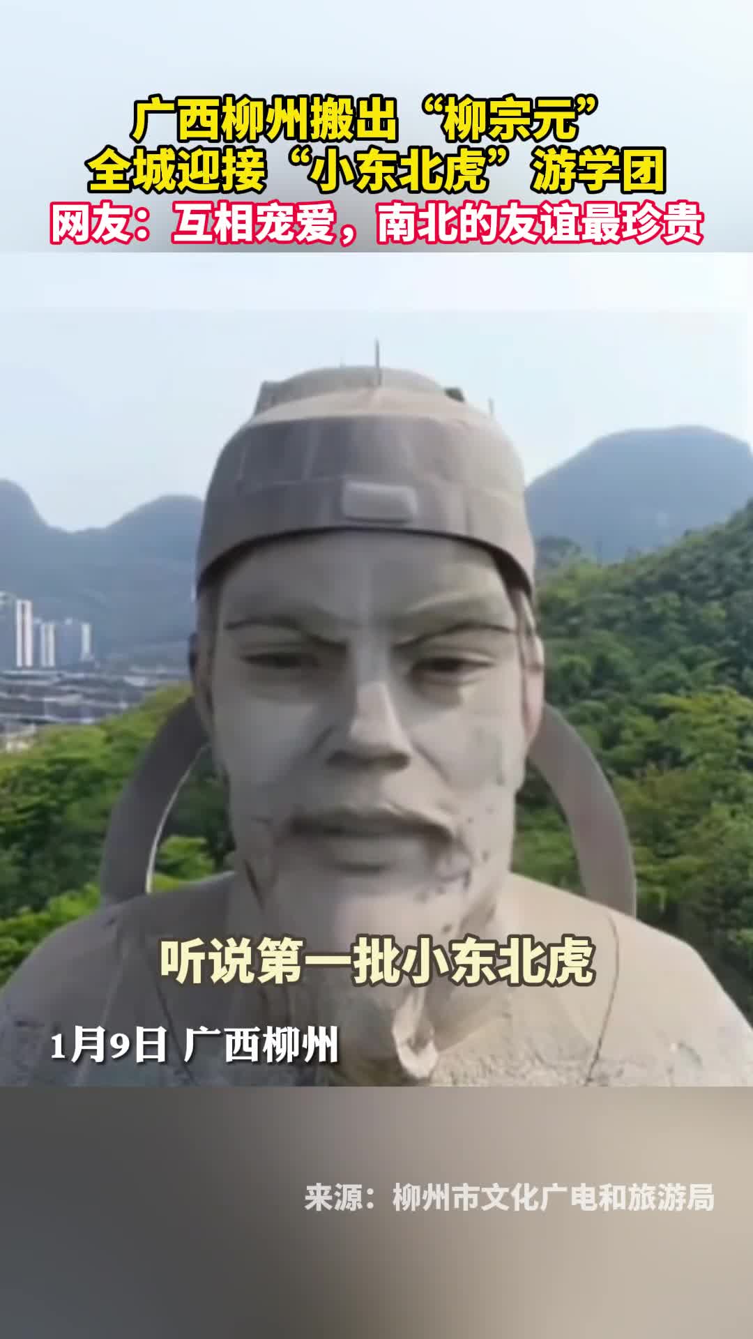 广西柳州搬出柳宗元全城迎接小东北虎游学团网友互相宠爱南北的友谊最珍贵