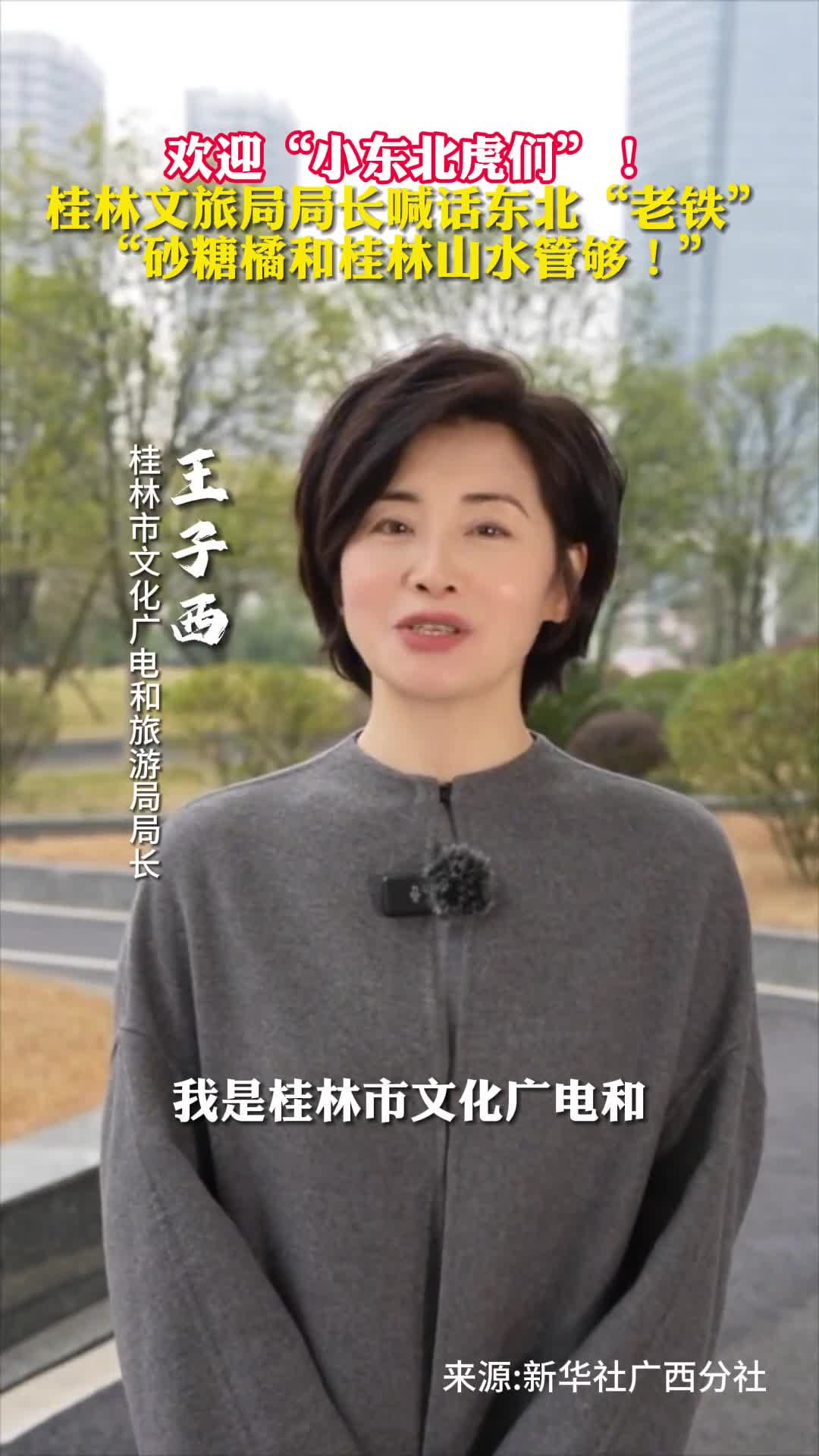 欢迎小东北虎们桂林文旅局局长喊话东北老铁砂糖橘和桂林山水管够