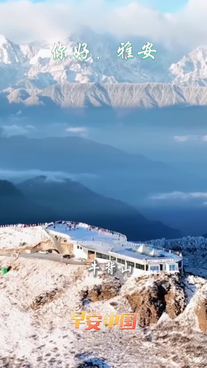 梦寻熊猫家园情醉仙茶故乡