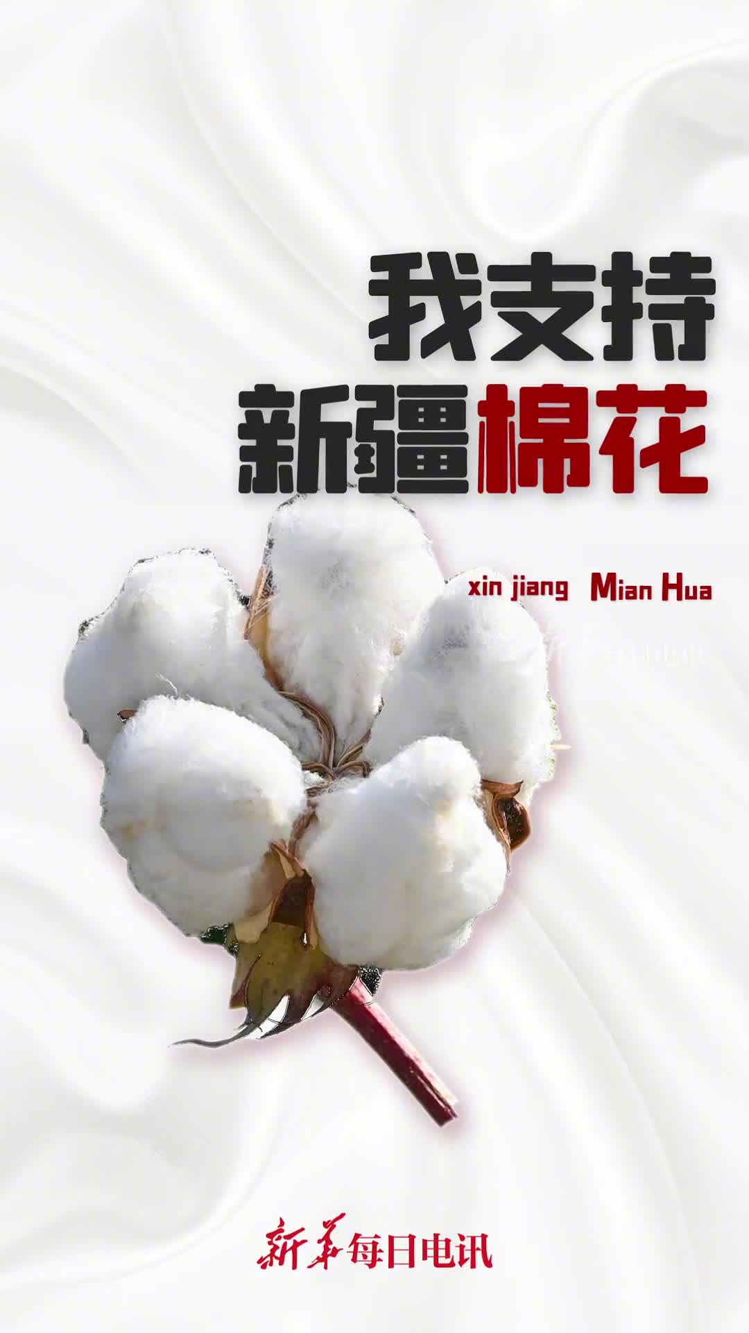 新疆棉是世界最好棉花之一支持守护