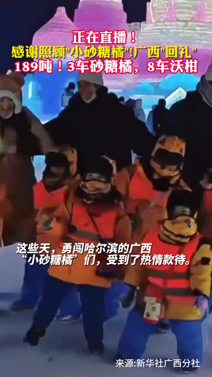 正在直播感谢照顾小砂糖橘广西回礼189吨3车砂糖橘8车沃柑