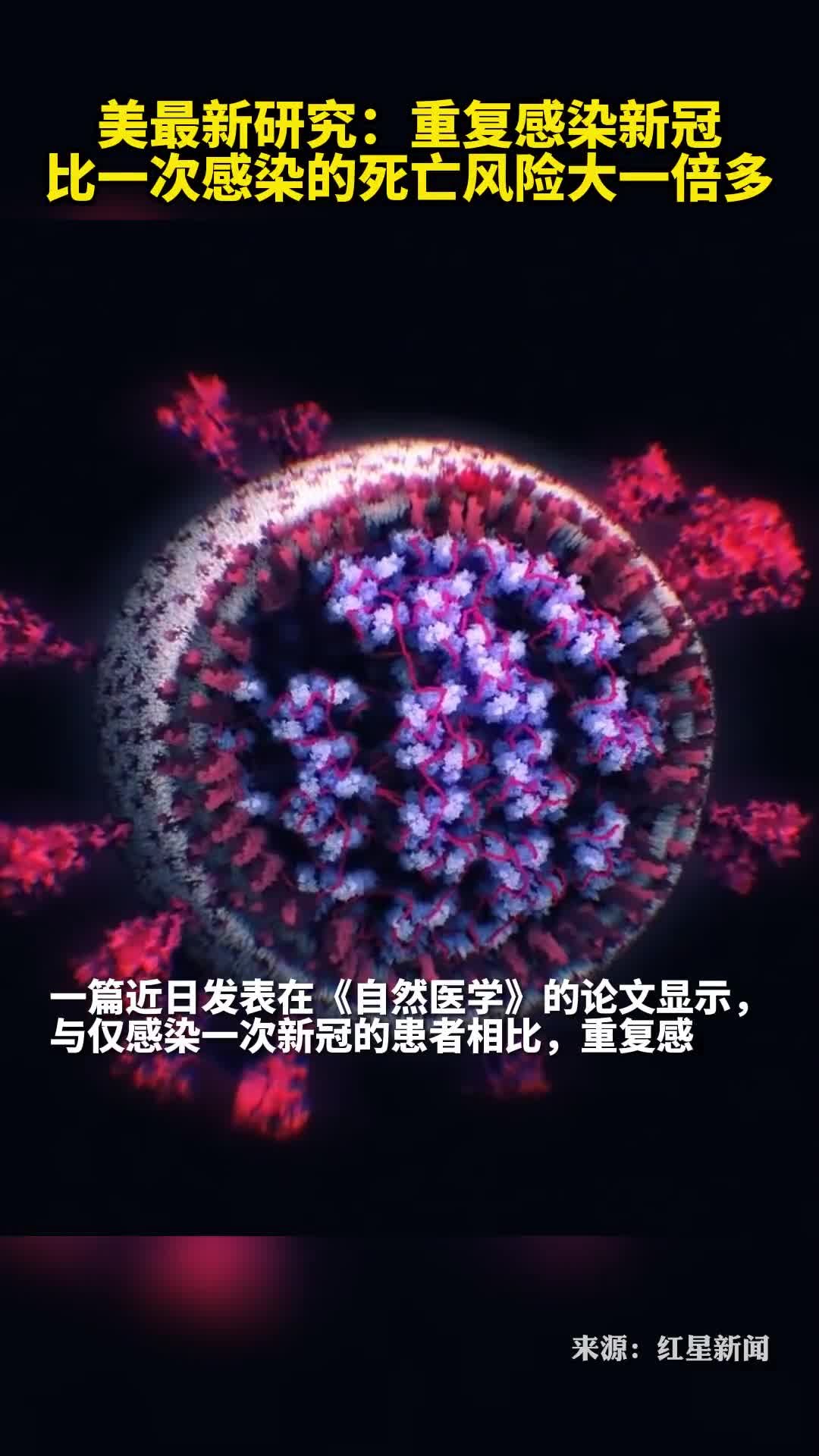 美最新研究重复感染新冠比一次感染的死亡风险大一倍多