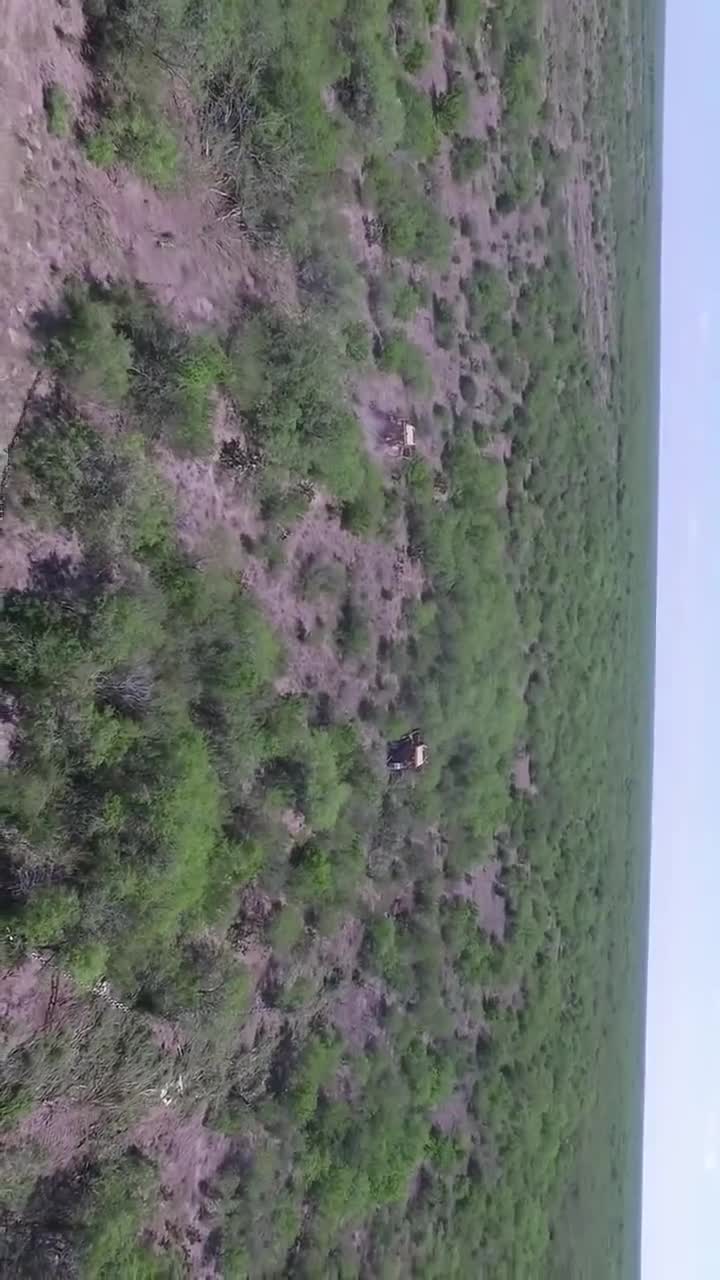 有没有一种横扫千军的感觉抖音小助手