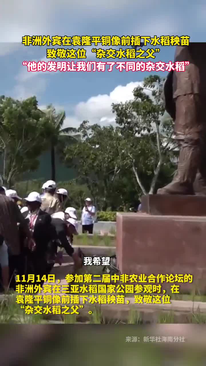 非洲外宾在袁隆平铜像前插下水稻秧苗致敬这位杂交水稻之父他的发明让我们有了不同的杂交水稻