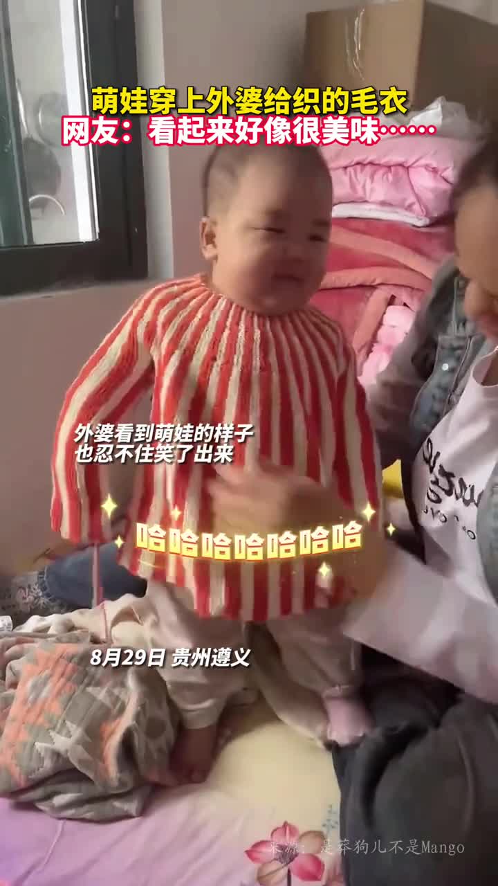 萌娃穿上外婆给织的毛衣网友看起来好像很美味是莽狗儿不是Mango