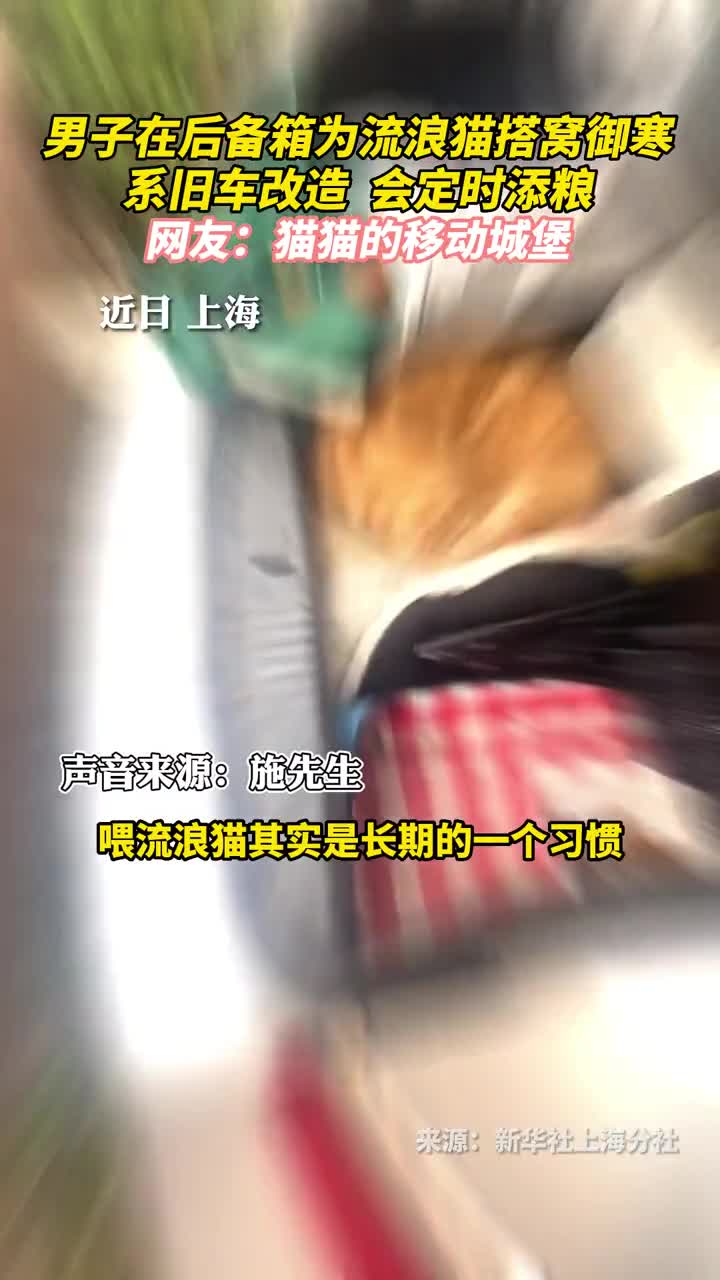 男子在后备箱为流浪猫搭窝御寒系旧车改造会定时添粮