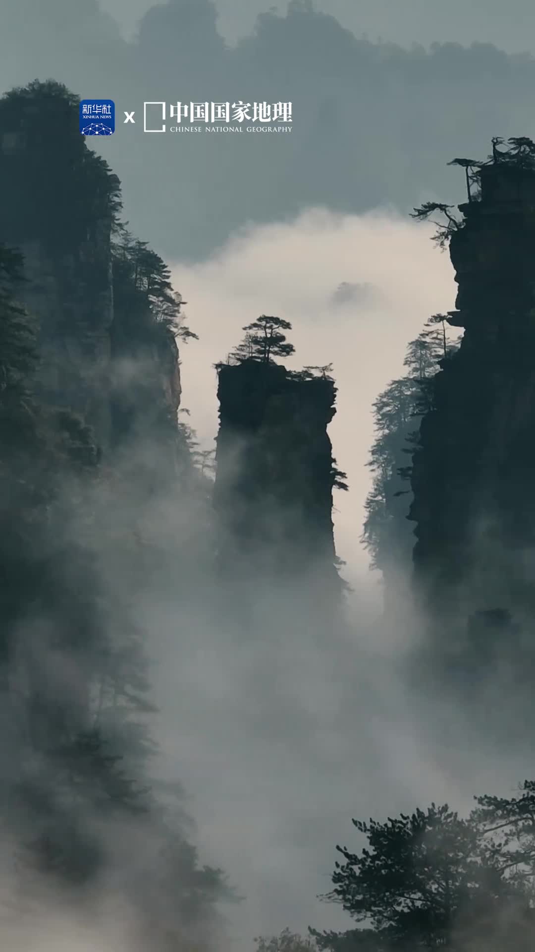 一不小心误入了人间仙境武陵源位于湖南省张家界市1992年被联合国列入世界自然遗产名录每当雨过天晴轻柔如纱的云雾缭绕在峰峦之间云影山色群峰竞秀仿佛一幅天然的丹青画卷