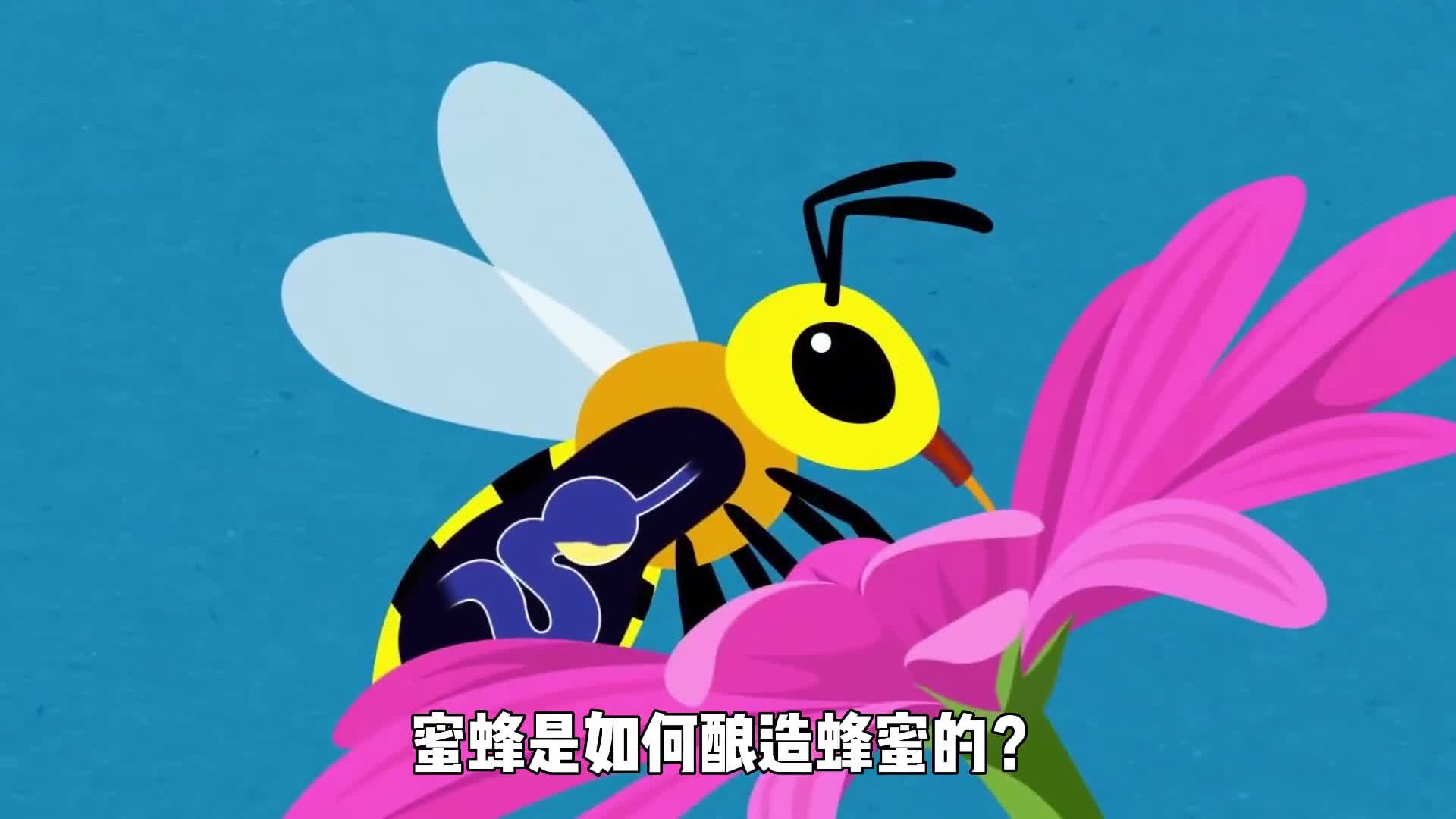 蜜蜂是如何酿造蜂蜜的看完整个过程你还有勇气吃吗