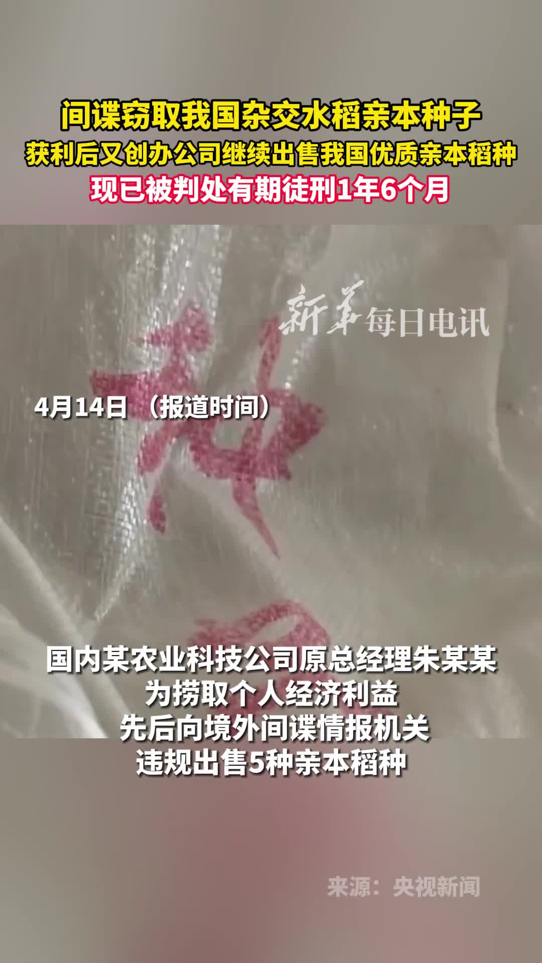 间谍窃取我国杂交水稻亲本种子获利后又创办公司继续出售我国优质亲本稻种现已被判处有期徒刑1年6个月