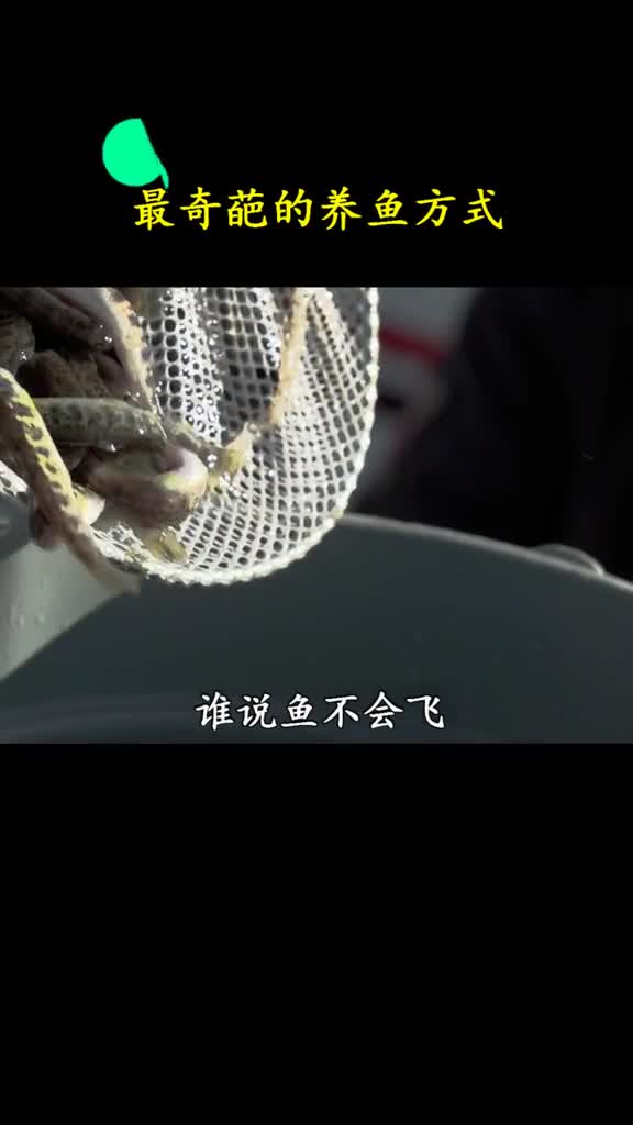 运气不好落地就成咸鱼干了