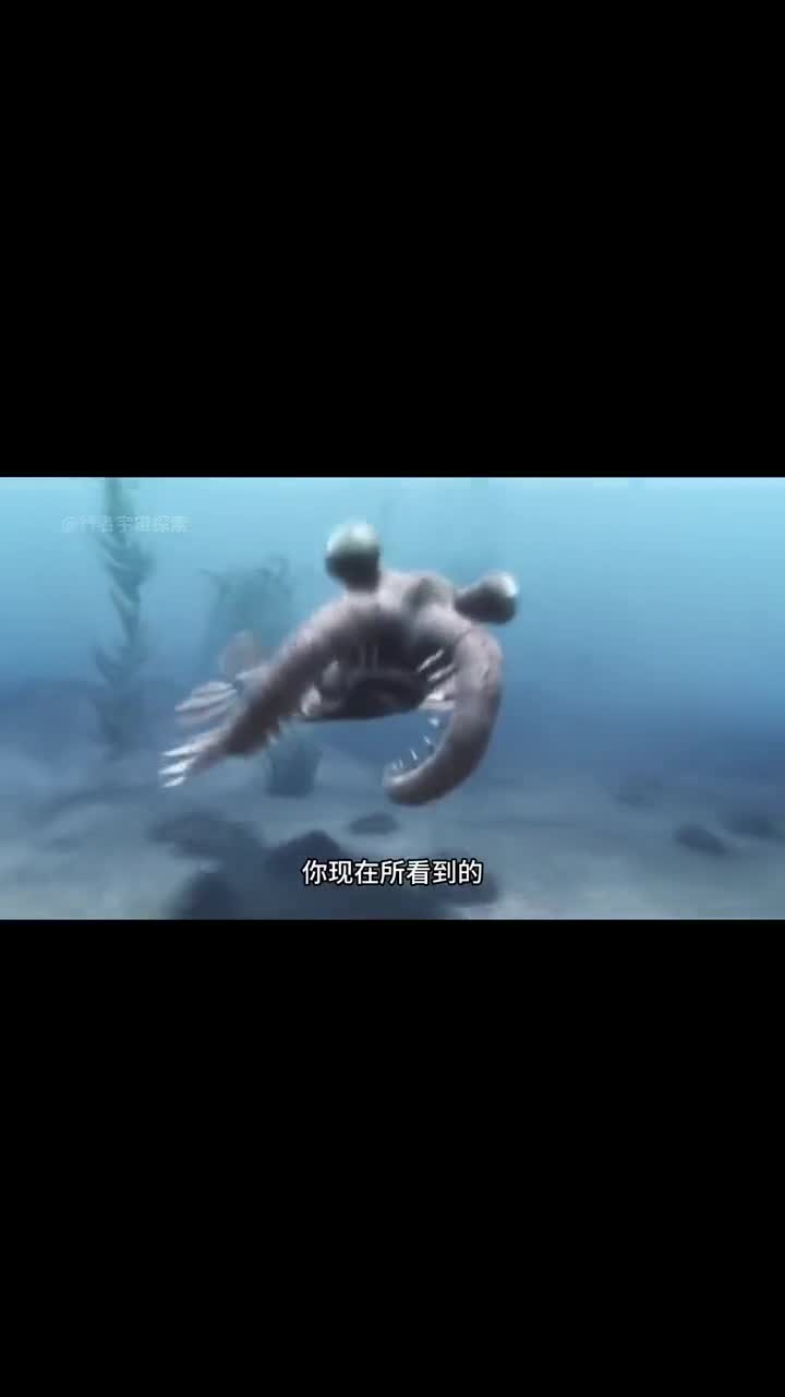 初代海洋霸主奇虾它究竟有多可怕