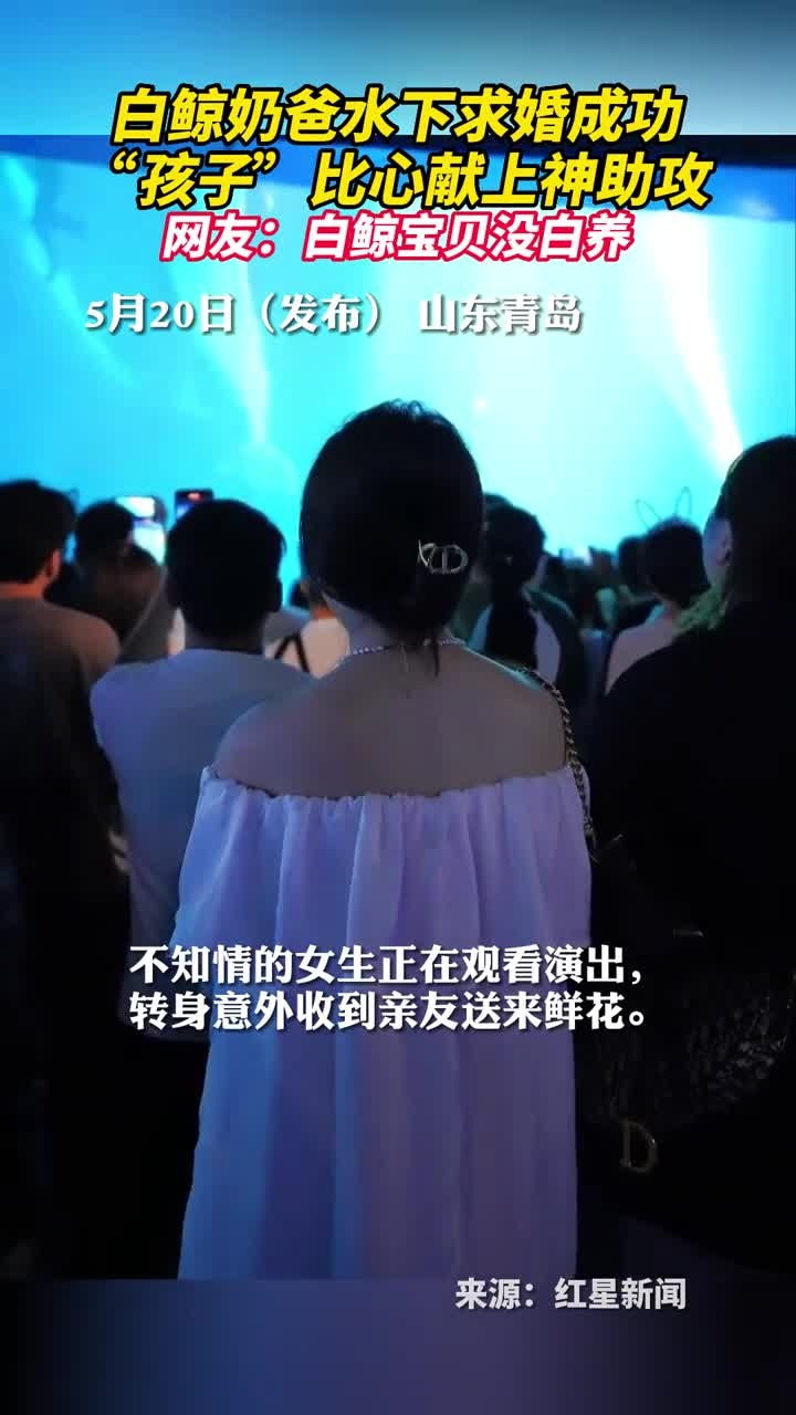 白鲸奶爸水下求婚成功孩子比心献上神助攻网友白鲸宝贝没白养