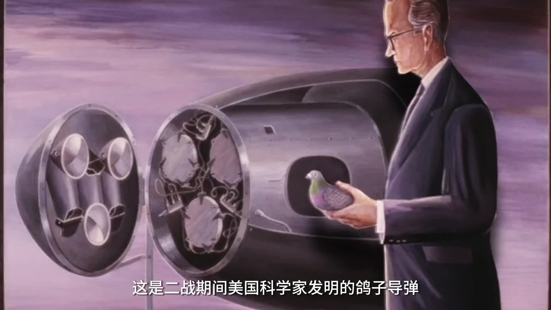 让鸽子开导弹带你看美国的鸽子导弹工作原理