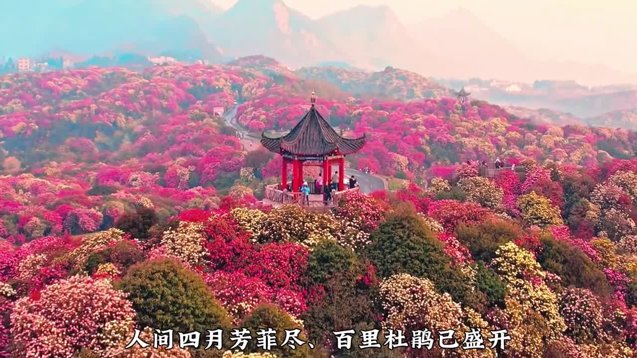 贵州百里杜鹃不只有杜鹃花还有很多好玩的娱乐活动