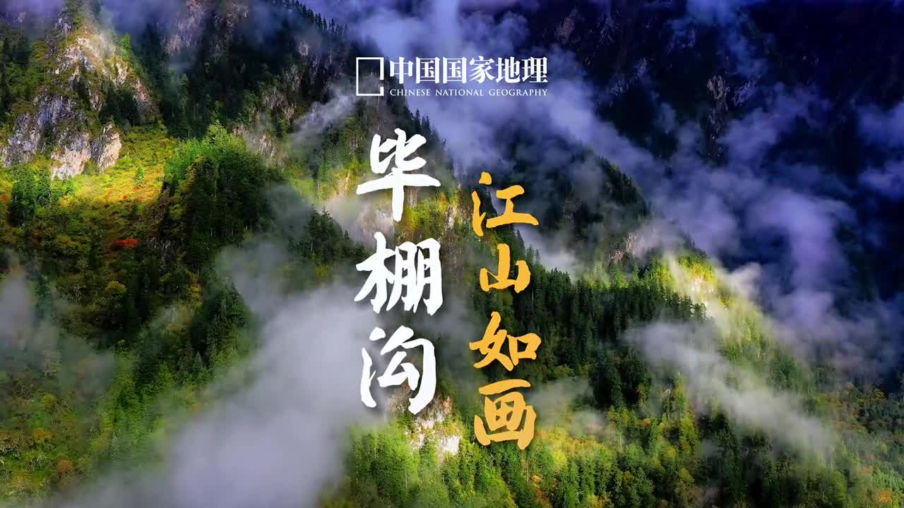 如诗如画如梦如幻