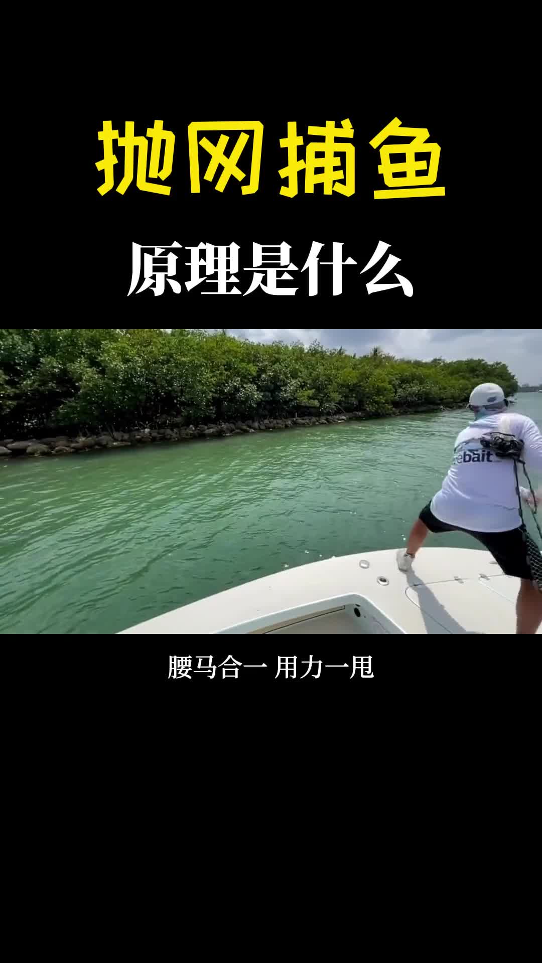 下面分明是空的抛网为什么能把鱼抓上来进入水下看个清楚