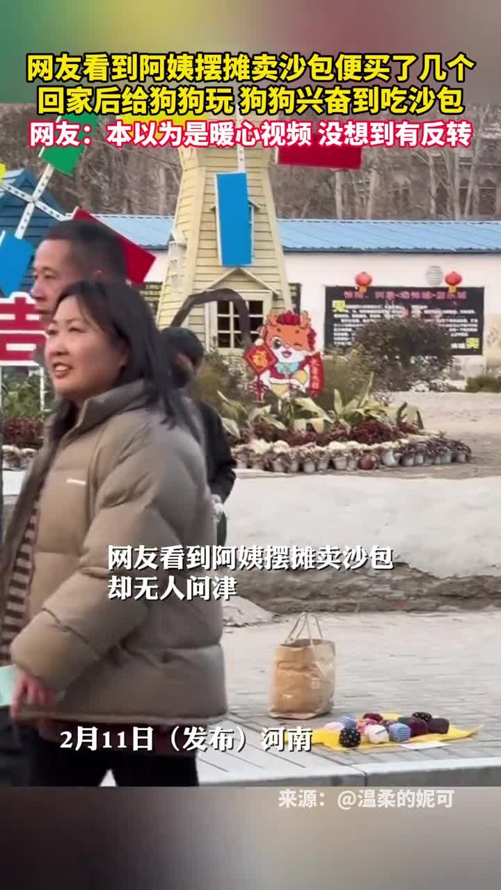 网友看到阿姨摆摊卖沙包便买了几个回家后给狗狗玩狗狗兴奋到吃沙包网友本以为是暖心视频没想到有反转