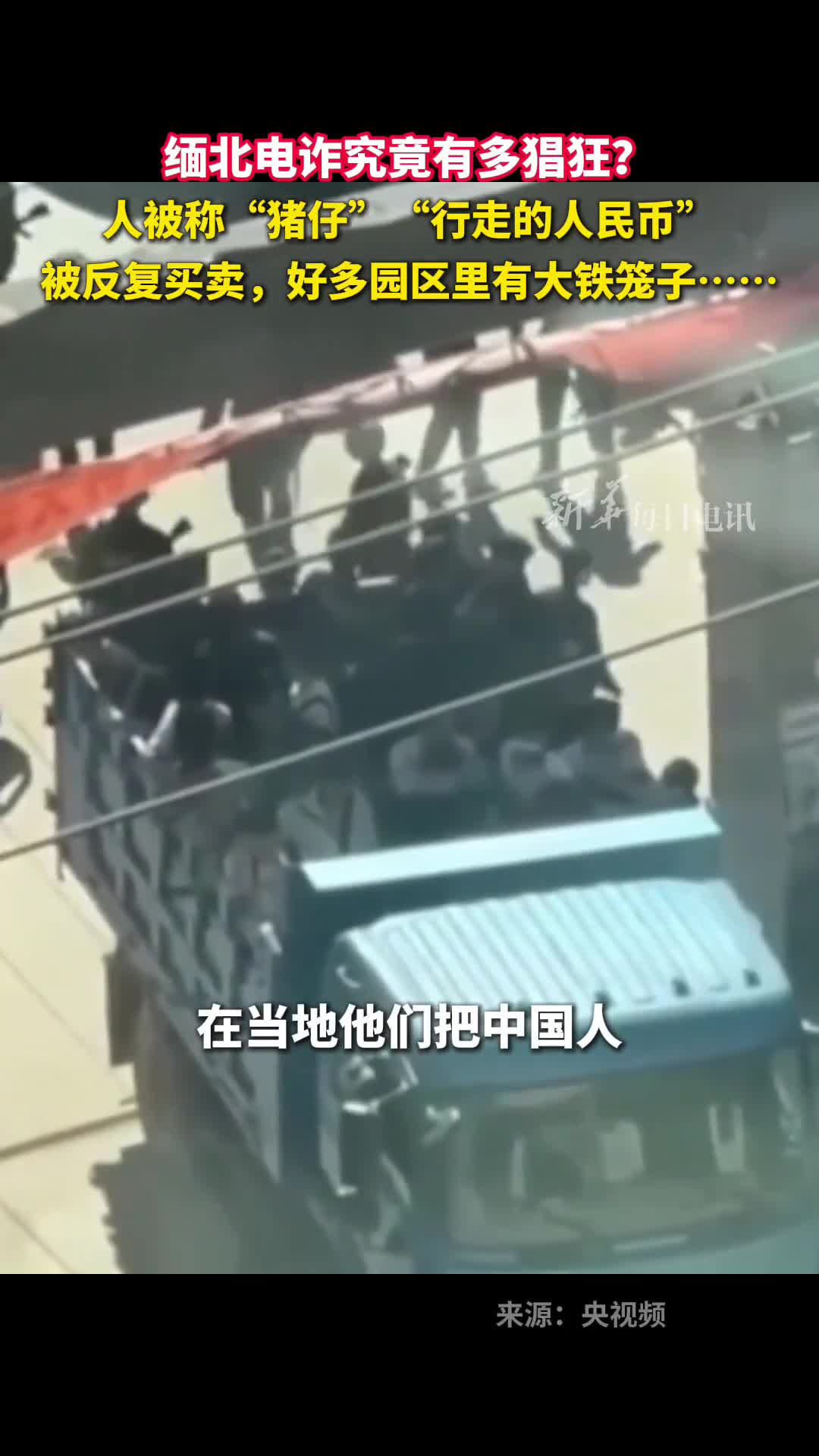 缅北电诈究竟有多猖狂人被称猪仔行走的人民币被反复买卖好多园区里有大铁笼子