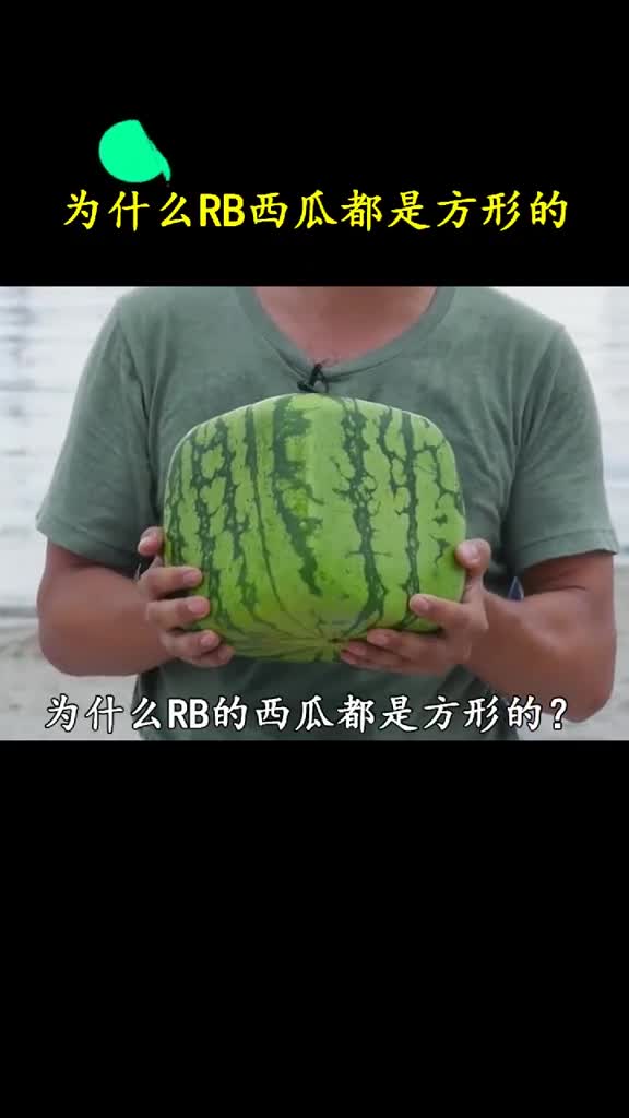 西瓜变个形状身价就能翻十几倍现在就连瓜都不能随心生长了