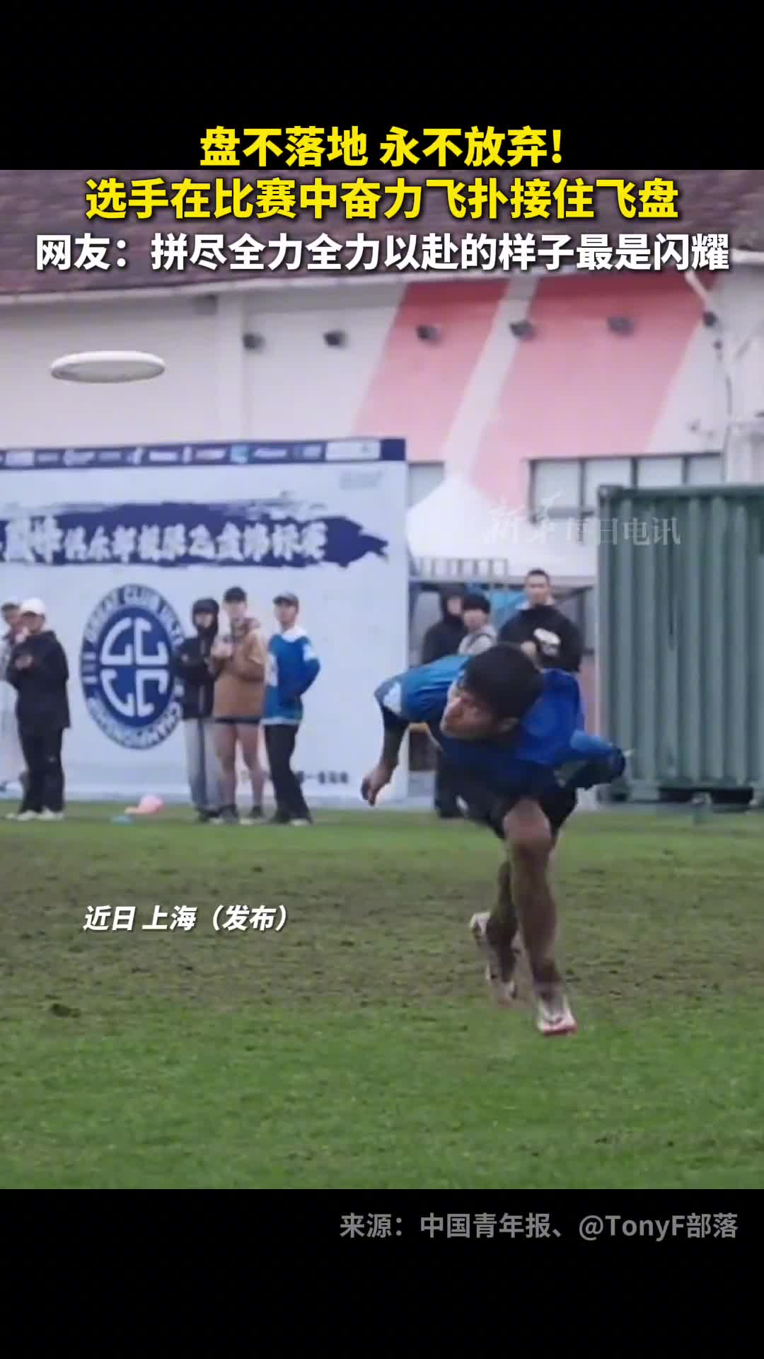 盘不落地永不放弃选手在比赛中奋力飞扑接住飞盘网友拼尽全力全力以赴的样子最是闪耀