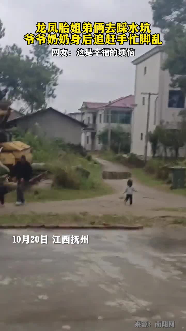 龙凤胎姐弟俩去踩水坑爷爷奶奶身后追赶手忙脚乱