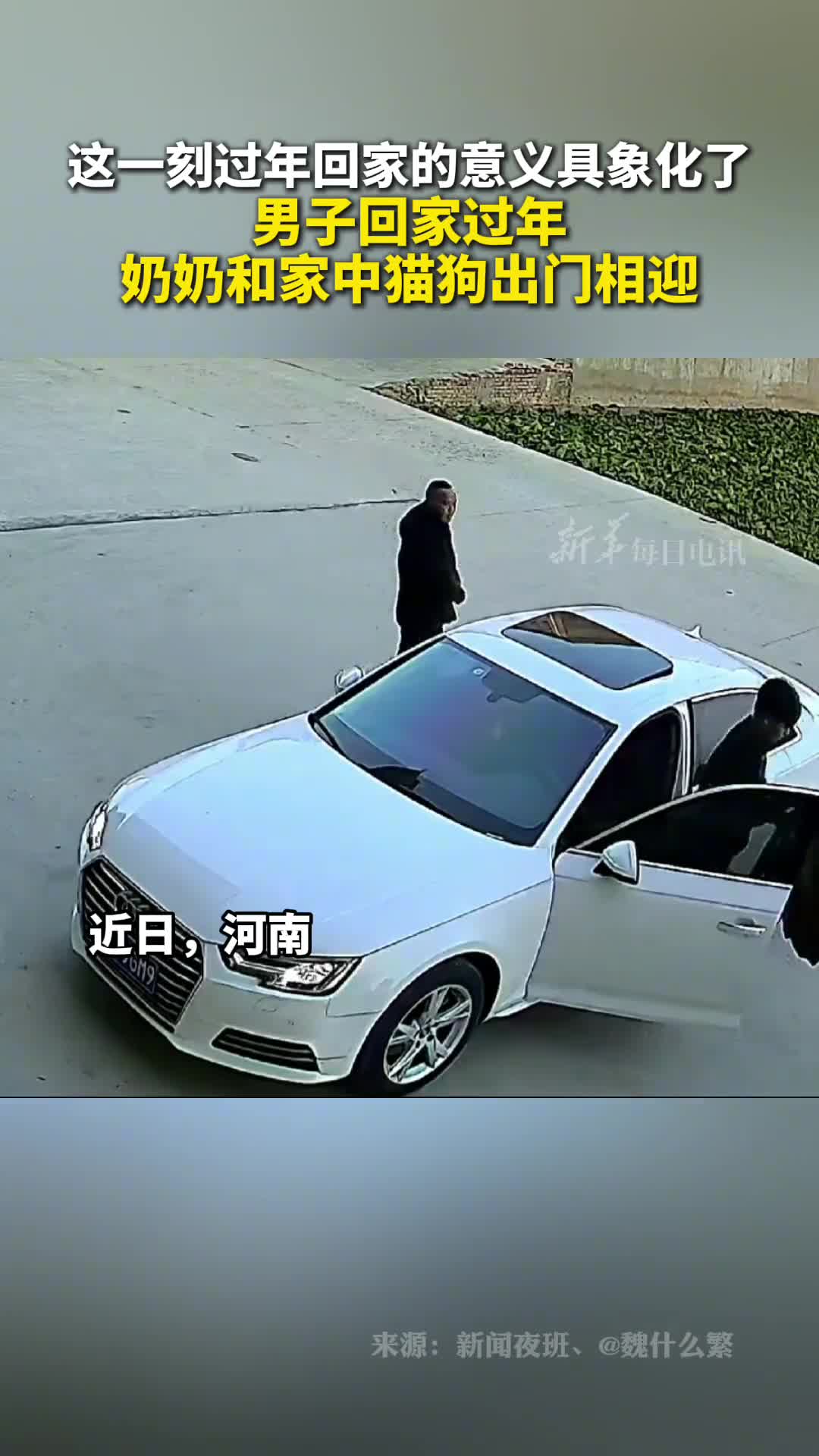 这一刻过年回家的意义具象化了男子回家过年奶奶和家中猫狗出门相迎