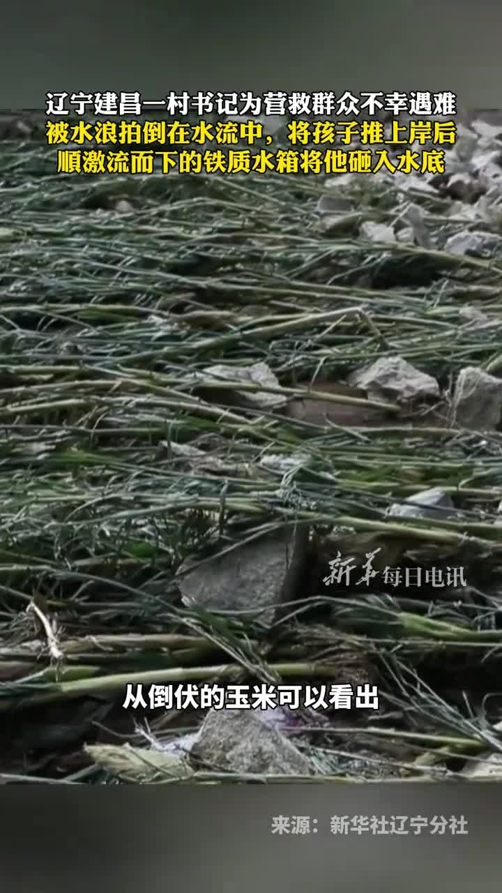 辽宁建昌一村书记为营救群众不幸遇难被水浪拍倒在水流中将孩子推上岸后顺激流而下的铁质水箱将他砸入水底