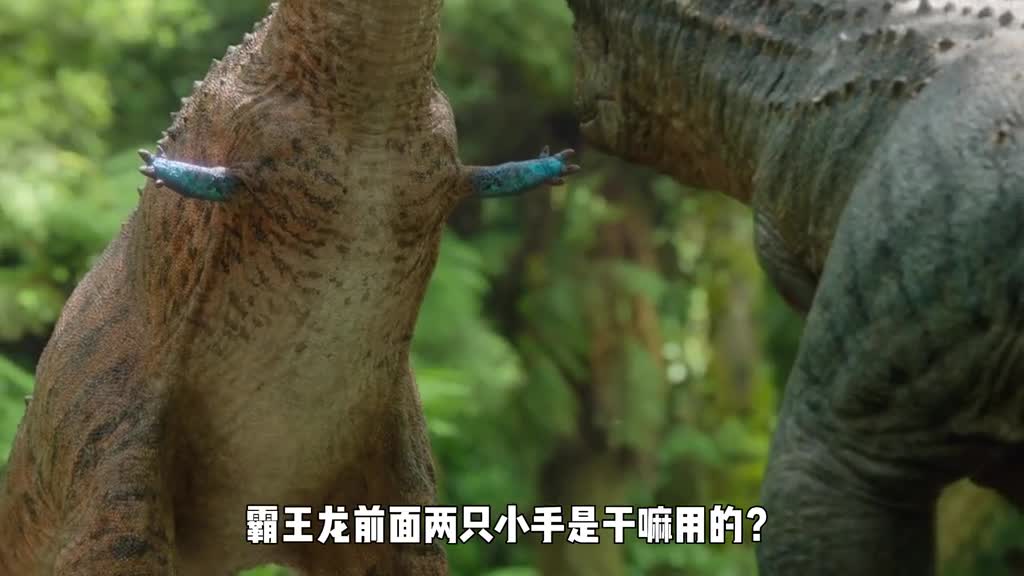 霸王龙前面两只小手是干嘛用的看到最后我才恍然大悟