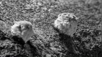 蘑菇云这个叫法确实很形象