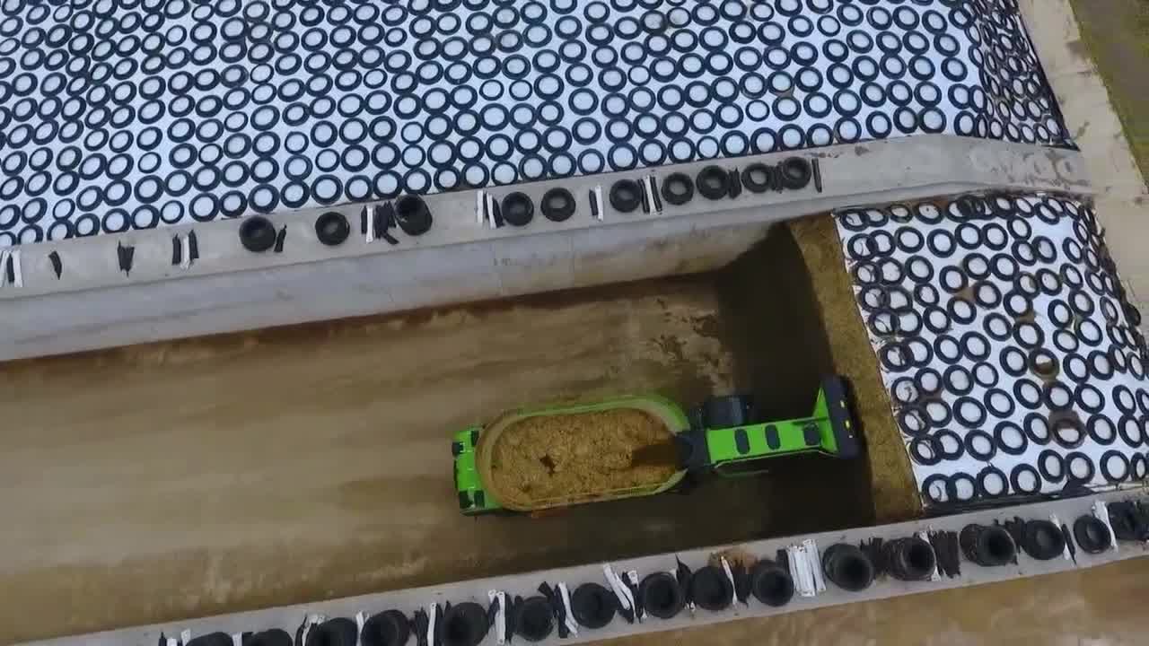 我不会告诉你这是在喂牛抖音小助手