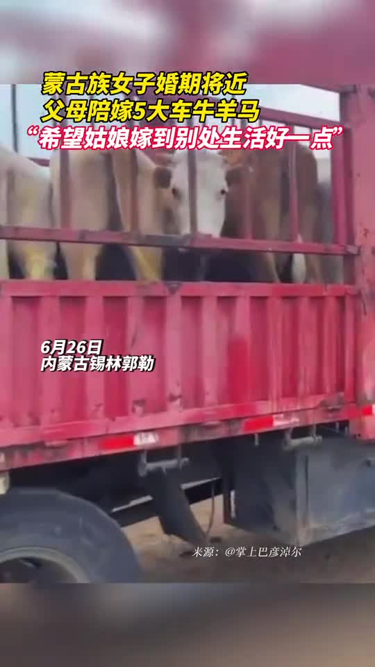 蒙古族女子婚期将近父母陪嫁5大车牛羊马希望姑娘嫁到别处生活好一点