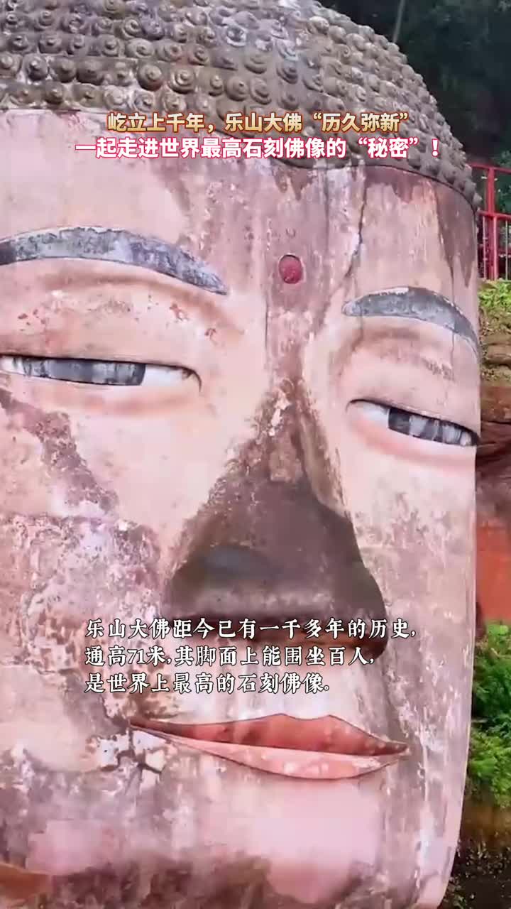 跟随国宝大家说一起探寻乐山大佛屹立千年的秘密