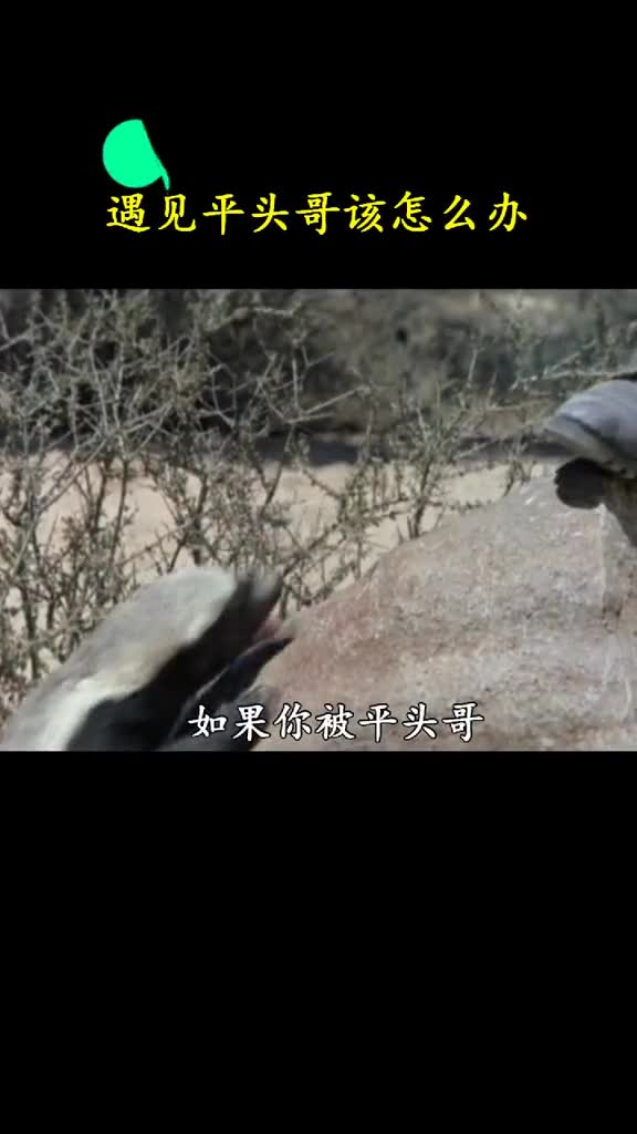 被记仇的平头哥袭击该怎么办给他个鞋子就