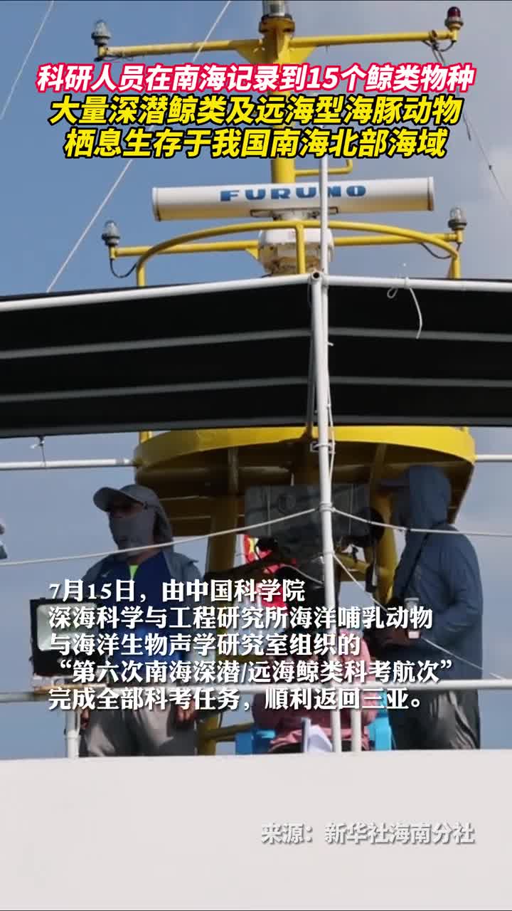 科研人员在南海记录到15个鲸类物种大量深潜鲸类及远海型海豚动物栖息生存于我国南海北部海域