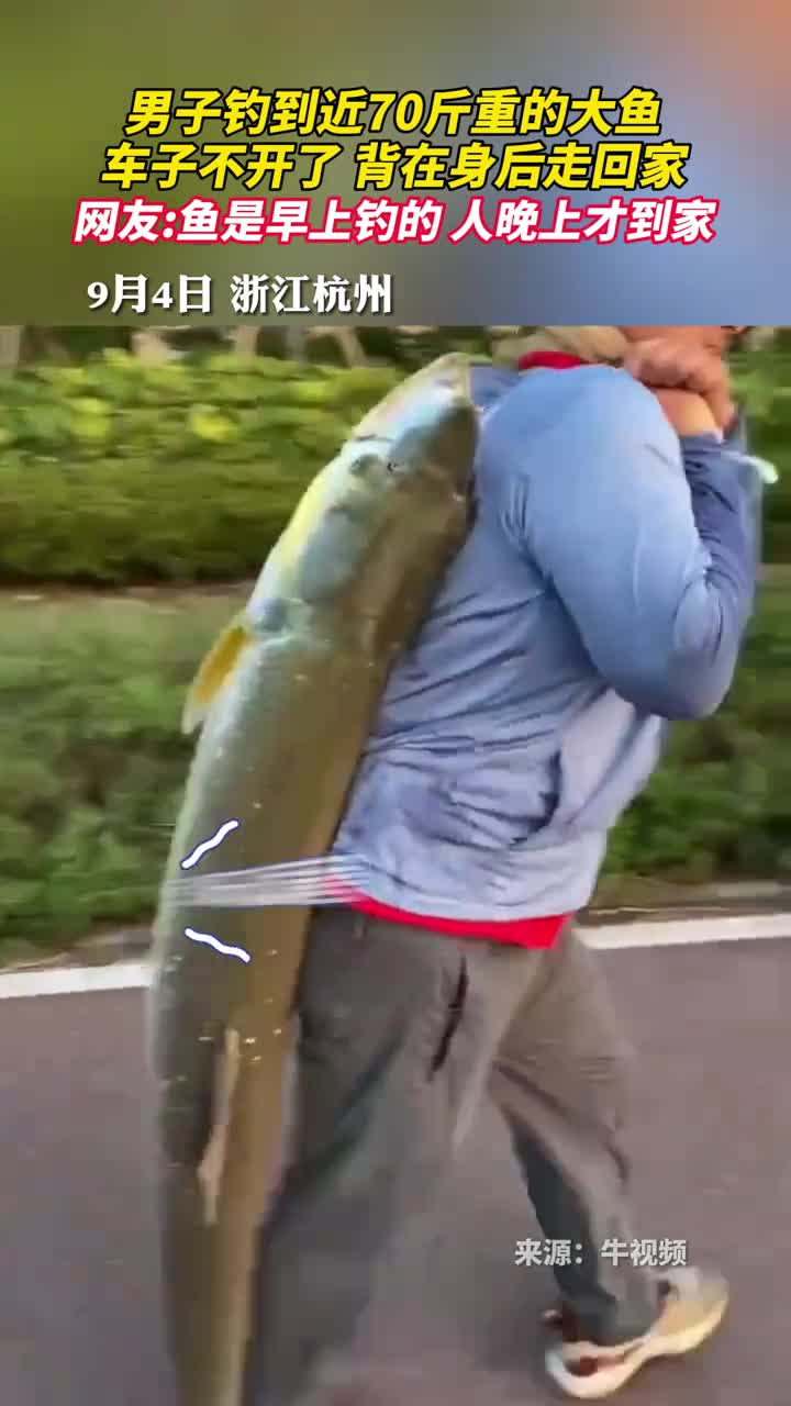 男子钓到近70斤重的大鱼车子不开了背在身后走回家网友鱼是早上钓的人晚上才到家