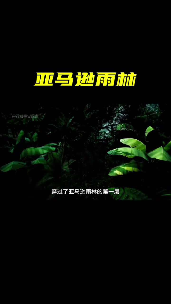 亚马逊雨林里致命的动植物你还知道哪些