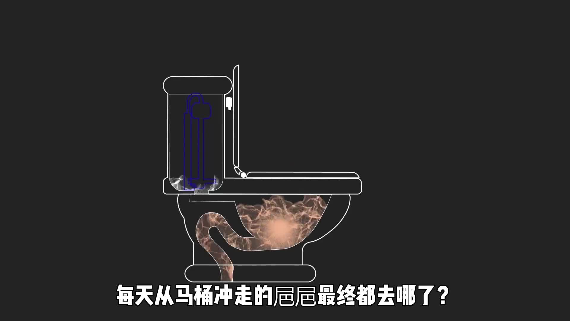 每天从马桶冲走的㞎㞎最终都去哪了1分钟看完㞎㞎的一生