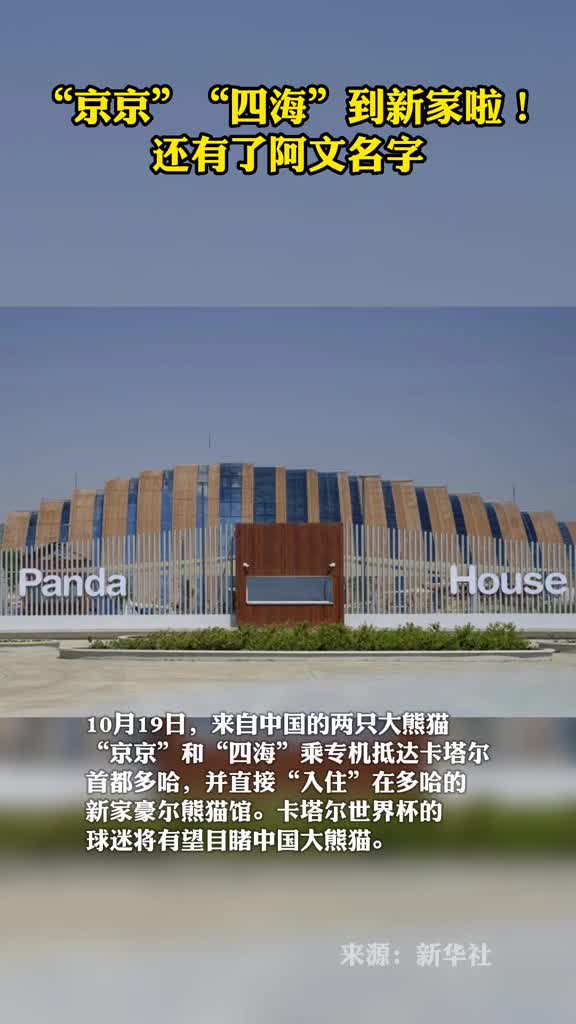 熊猫京京四海到新家啦还有了阿文名字