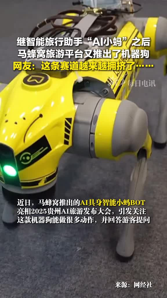 马蜂窝旅游平台推出文旅机器狗小蚂BOT可用多种语言生成个性化旅游规划网友这条赛道越来越拥挤了