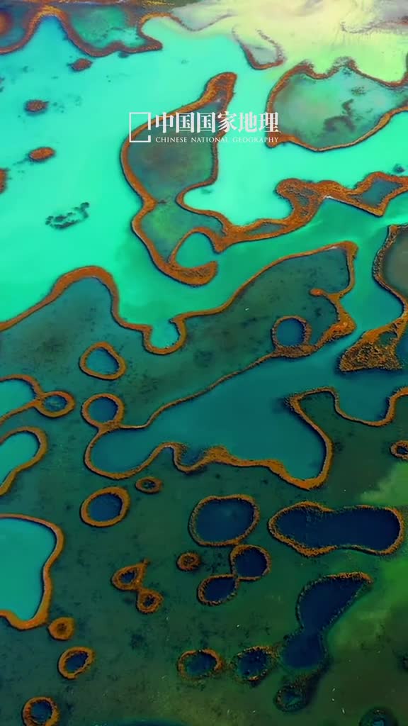 同一片天空同一个地球让我们一起守候