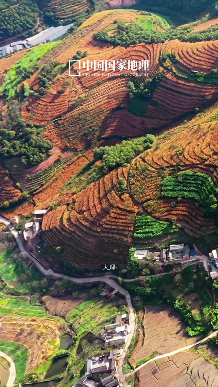 在214国道上会遇见多少种色彩