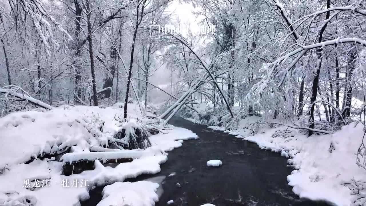 不提雪怎么形容雪很大北方的雪是盛大的带着无尽的豪情降临在广袤的森林原野之上当你看到黑龙江牡丹江骤然而至的飞雪或许会在脑海中浮现李白笔下的那句应是天仙狂醉乱把白云揉碎仿佛这雪也被赋予了诗仙超然物外的洒脱气质你还知道哪些描写雪的诗句快来评论区分享吧