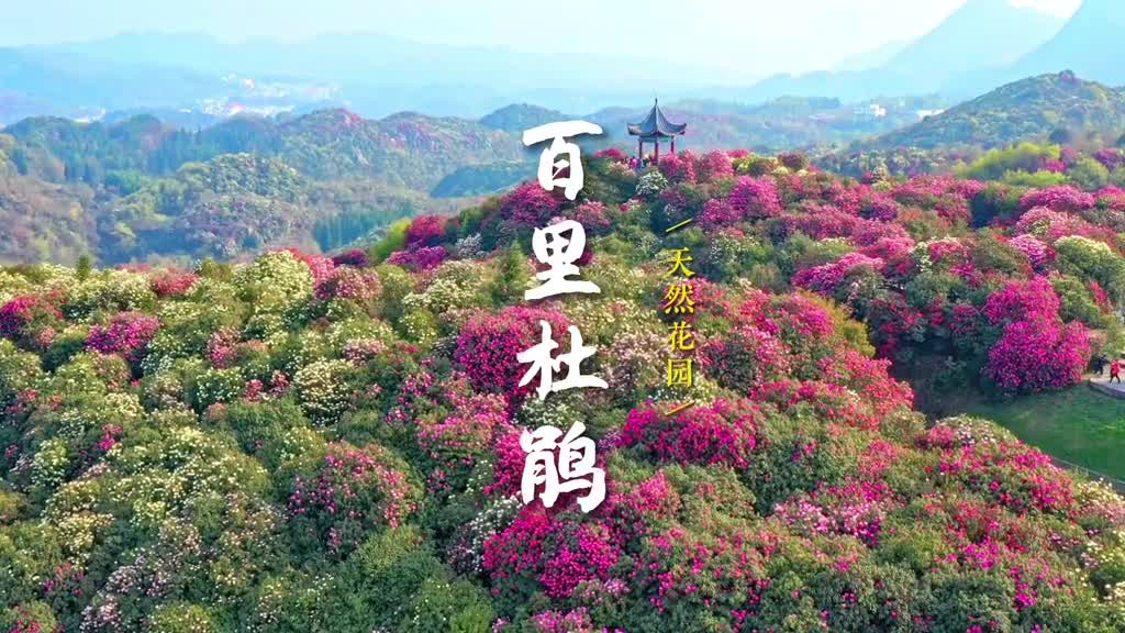 你们要的贵州毕节