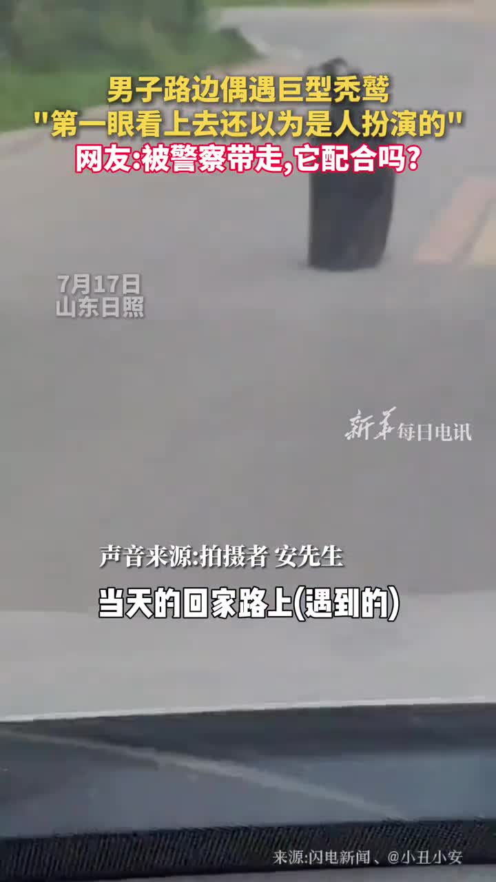 男子路边偶遇巨型秃鹫第一眼看上去还以为是人扮演的