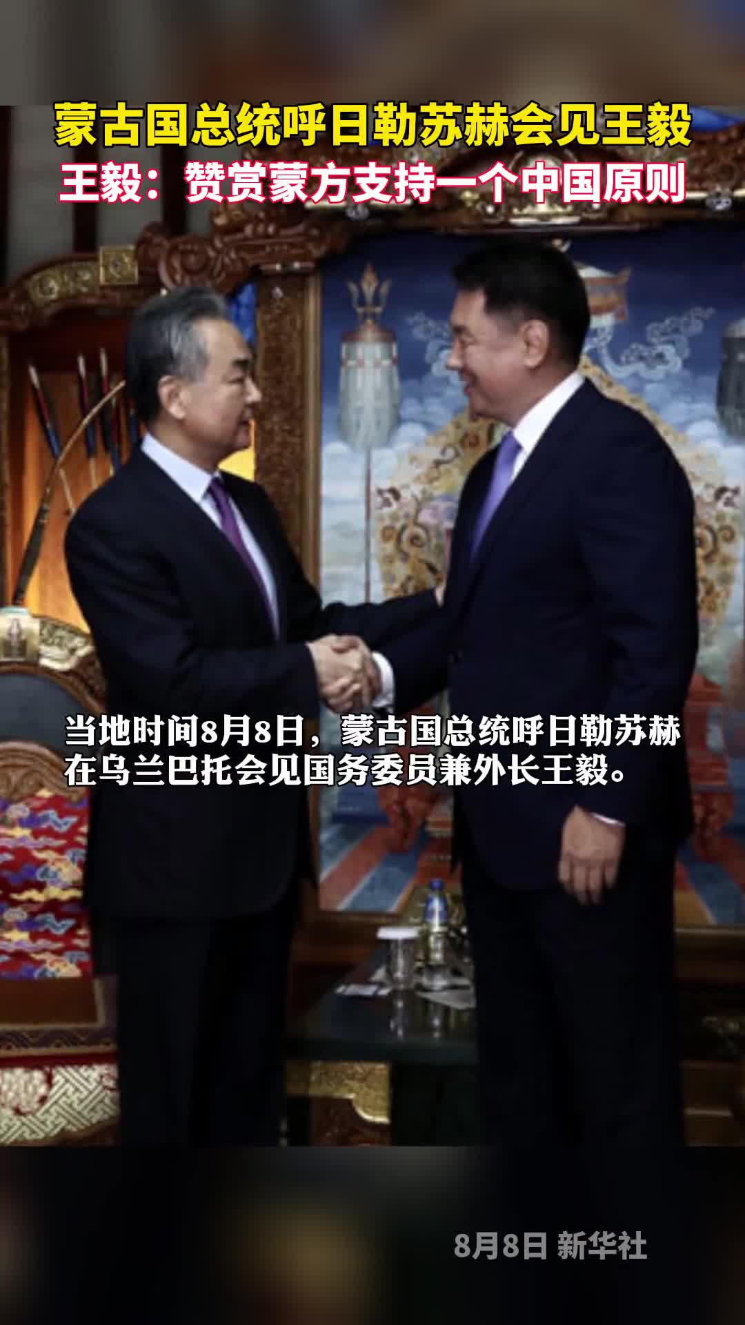 蒙古国总统呼日勒苏赫会见王毅