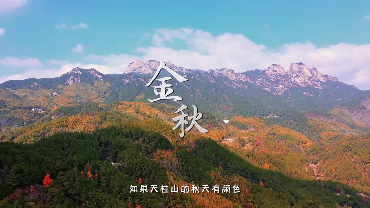 银杏枫叶彩虹公路山谷被秋风染过来安徽天柱山与秋日美好环环相扣