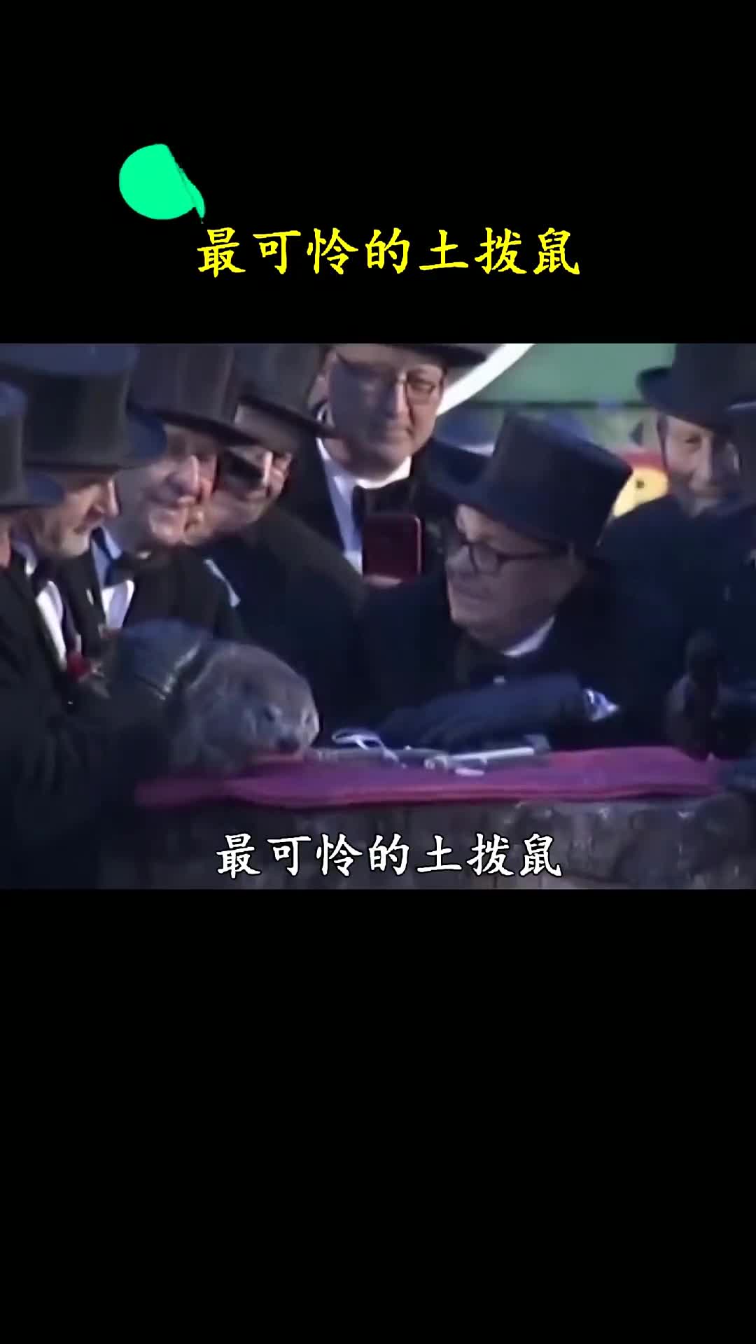 被人们当做天气预报的土拨鼠结果最后土拨鼠失误了