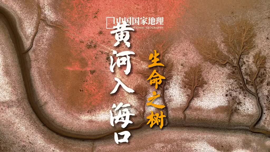 大地之作生命之树